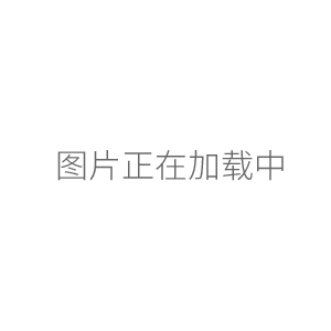 EX10201分析天平電子天平0.1g/10200g（原裝進口）